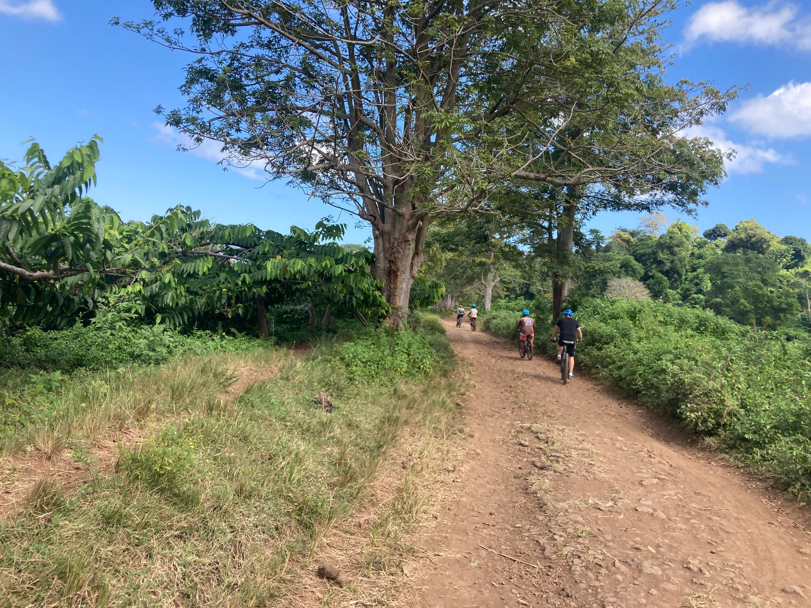Ambatoloaka - Dzamandjar - Mountain bike route