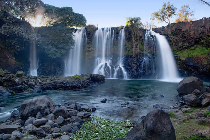 AMPEFY - LILI WATERFALL